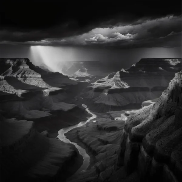 Silhouettes of the Canyon Poster featuring a dramatic canyon landscape in black and white