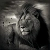 Lion Under Sky Poster featuring a black-and-white image of a regal lion with a flowing mane, gazing over the landscape beneath a dramatic sky.