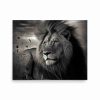 Lion Under Sky Poster