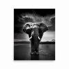 Elephant's Horizon Poster