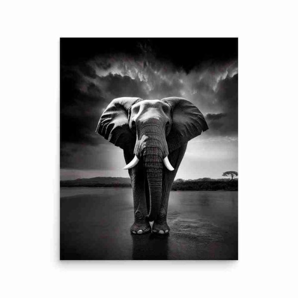Elephant's Horizon Poster