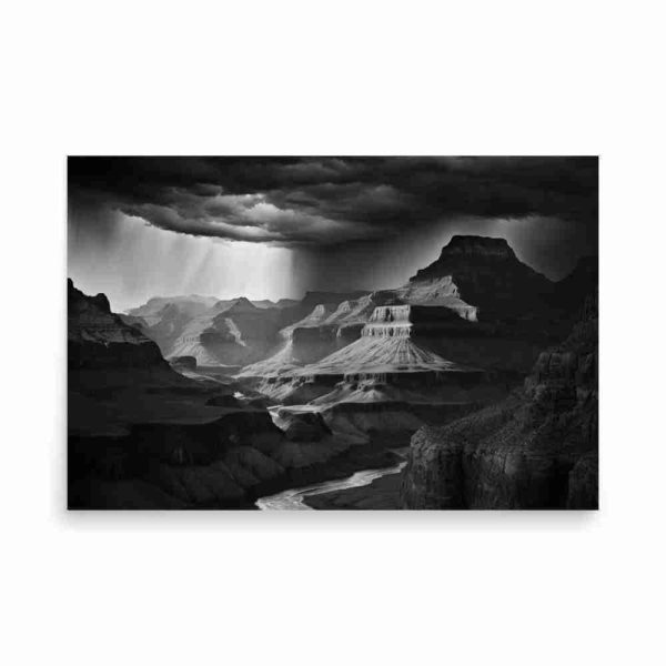 Canyon in Contrast Poster
