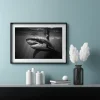 Great White Shark Poster
