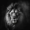 Essence of the Lion Poster featuring a black-and-white close-up of a lion with a flowing mane and intense gaze.